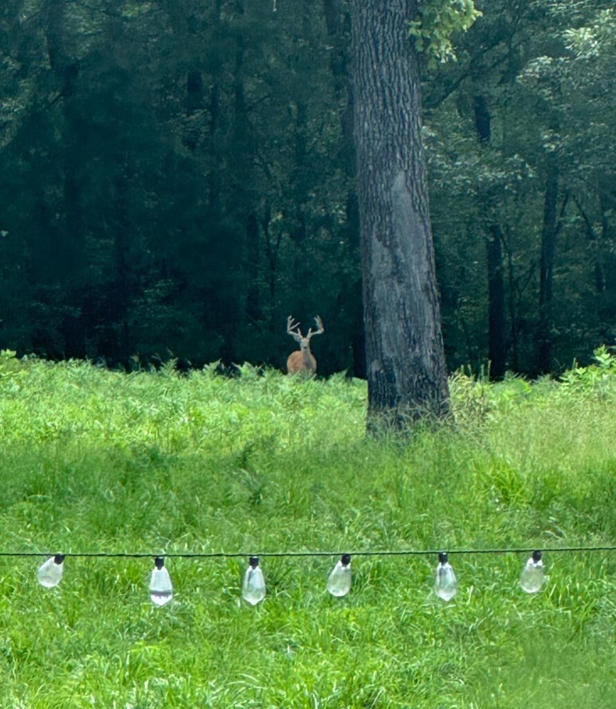 Caney Trails RV Resort